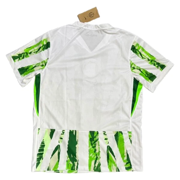 Nigeria Vieraspaita 2025/26