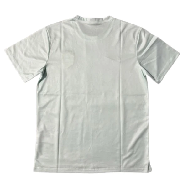 Brasilia Paita 2025 Erikoispainos