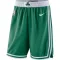 Boston Celtics NBA Shortsit Icon Edition Swingman
