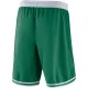 Boston Celtics NBA Shortsit Icon Edition Swingman