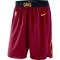 Cleveland Cavaliers NBA Shortsit Icon Edition Swingman