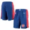 Detroit Pistons NBA Shortsit Icon Edition Swingman