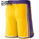 Los Angeles Lakers NBA Shortsit Lasten Icon Edition Swingman