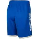 Milwaukee Bucks NBA Shortsit City Edition 2024/25 Swingman