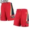 New Orleans Pelicans NBA Shortsit Lasten Statement Edition Swingman